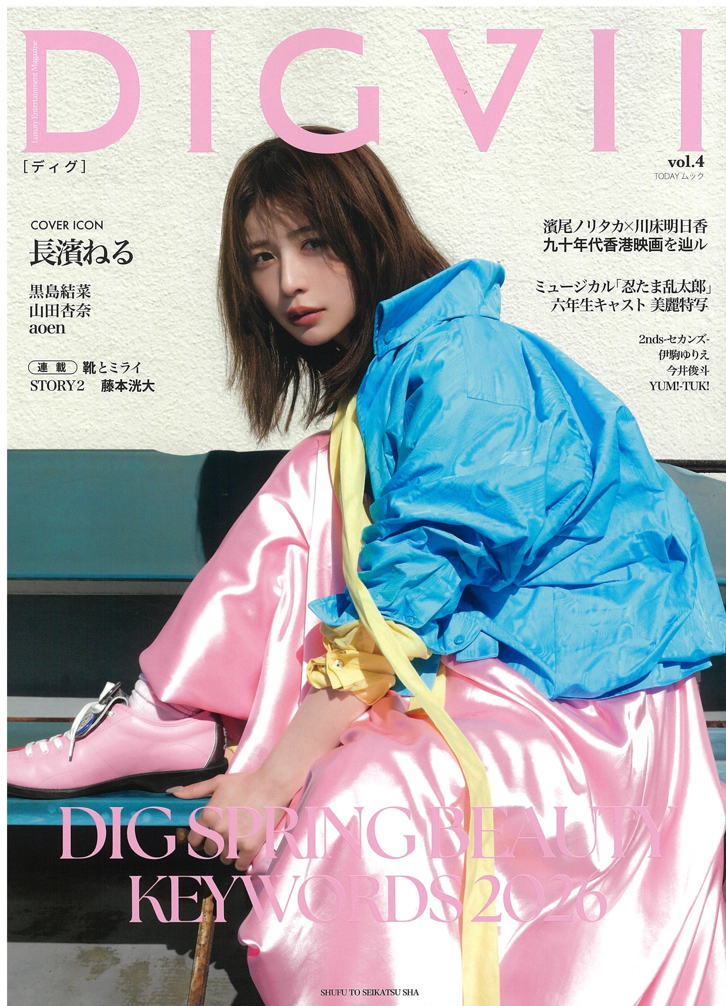 DIGVII Vol.4